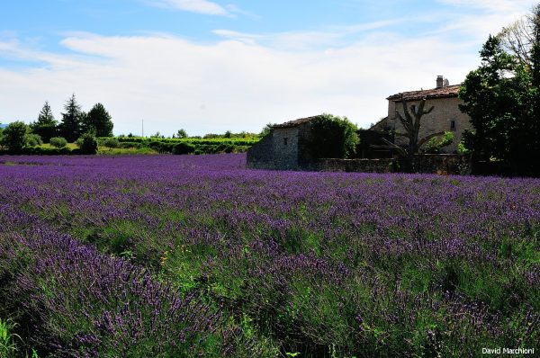 Luberon