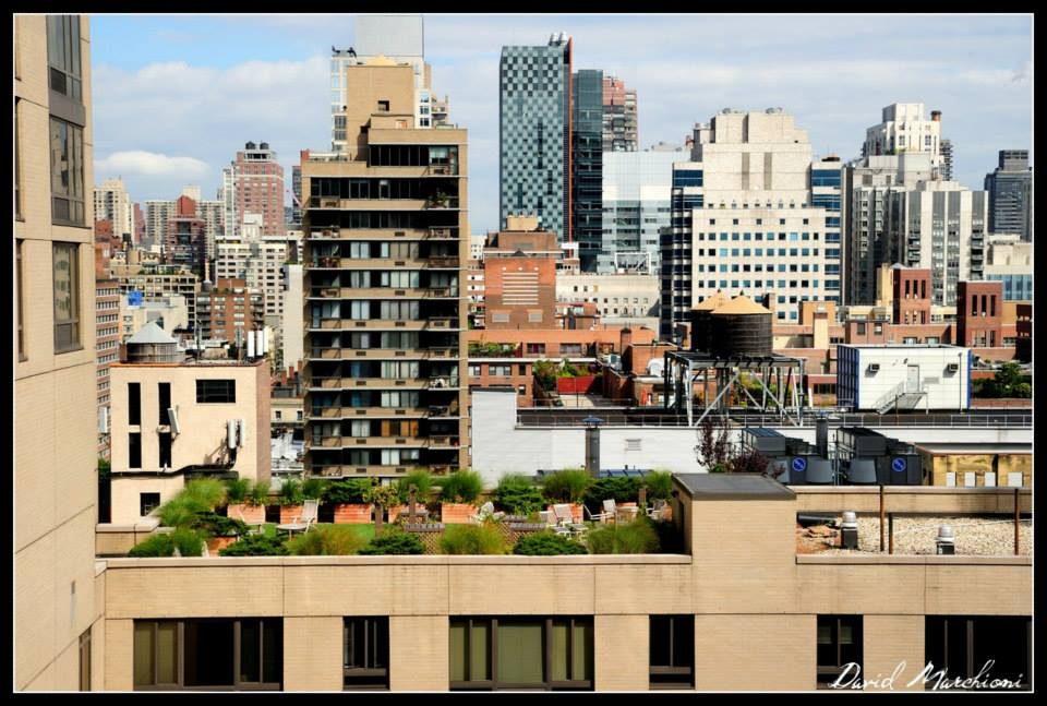 New York City — 80