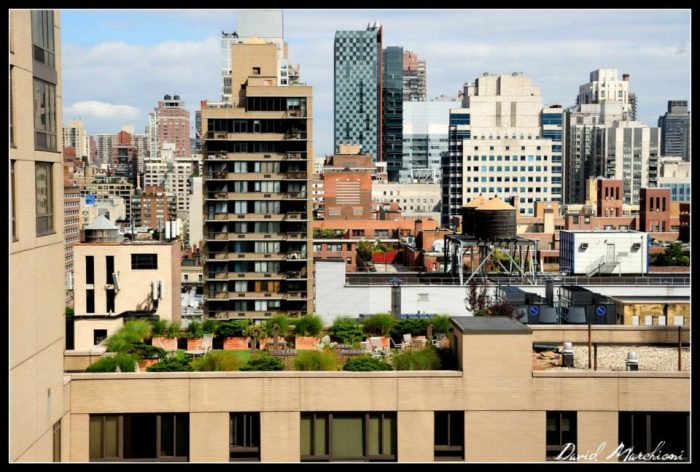 New York City — 80