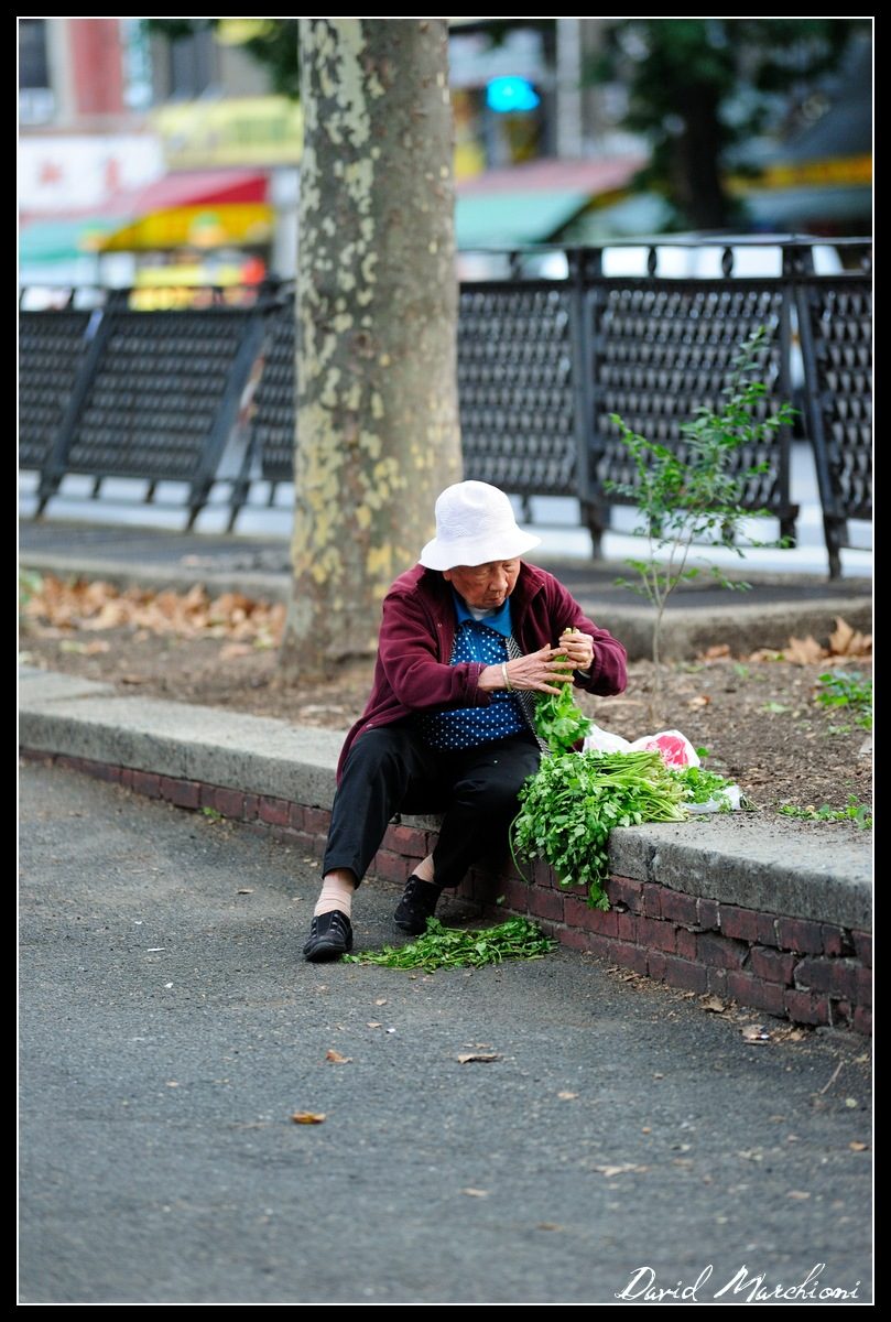 New York City — 229