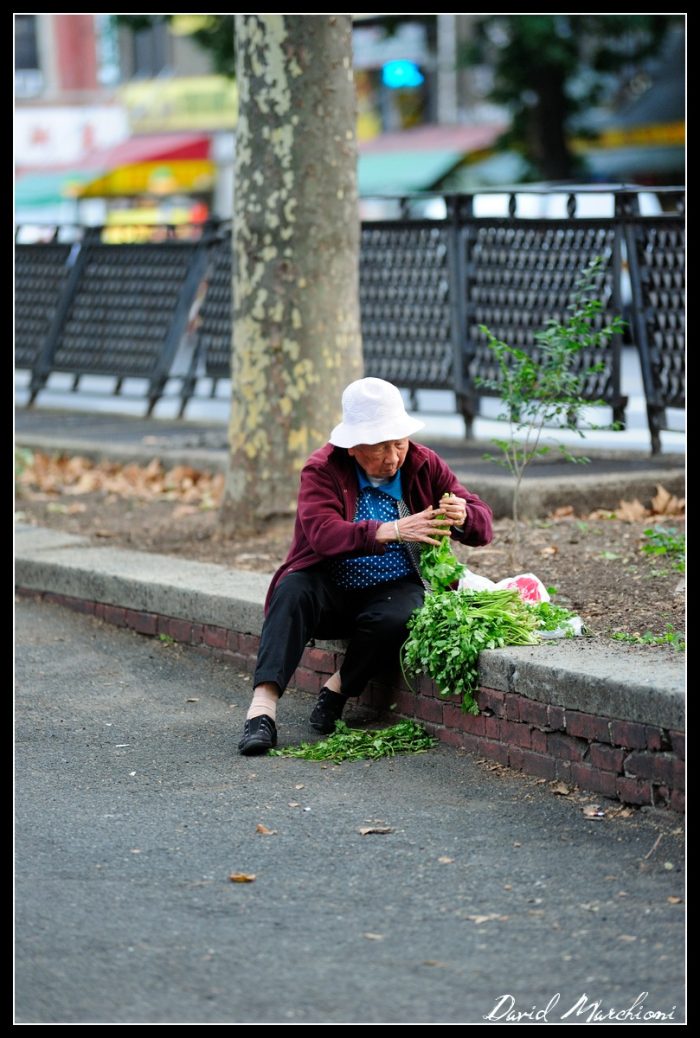 New York City — 229