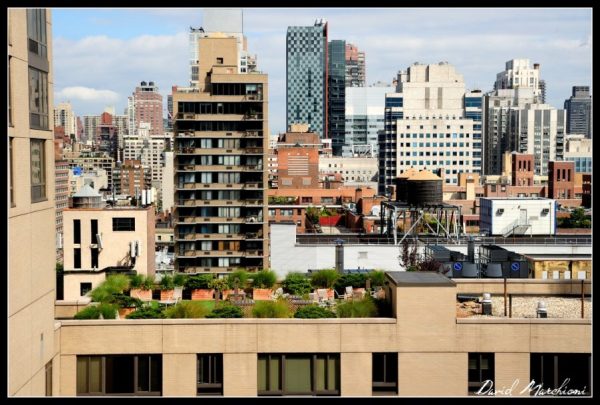 New York City