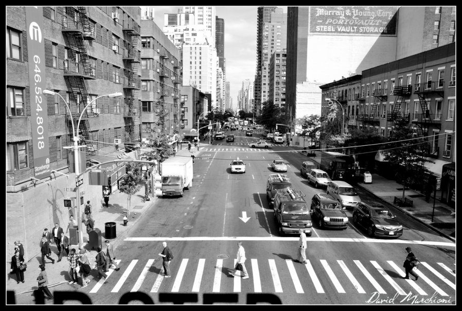 New York City — 243